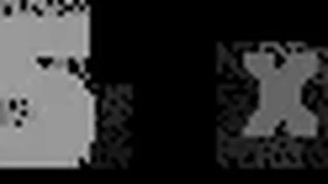 皇冠体育app下载